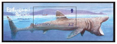 2005 Guernsey Endangered Species Basking Shark Stamp Miniature Sheet Mint Never Hinged (MNH)