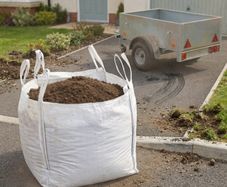 Free Soil