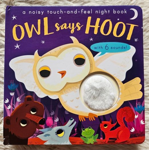 Owl Says Hoot - A Noisy Touch-and-Feel Night Book