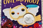 Owl Says Hoot - A Noisy Touch-and-Feel Night Book
