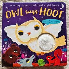 Owl Says Hoot - A Noisy Touch-and-Feel Night Book