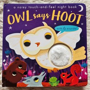 Owl Says Hoot - A Noisy Touch-and-Feel Night Book