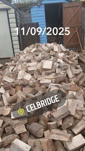 Firewood 2026
