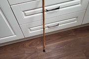 Walking stick