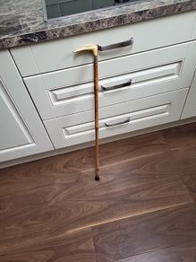 Walking stick