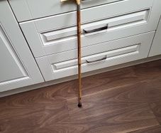 Walking stick