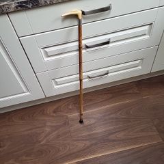 Walking stick