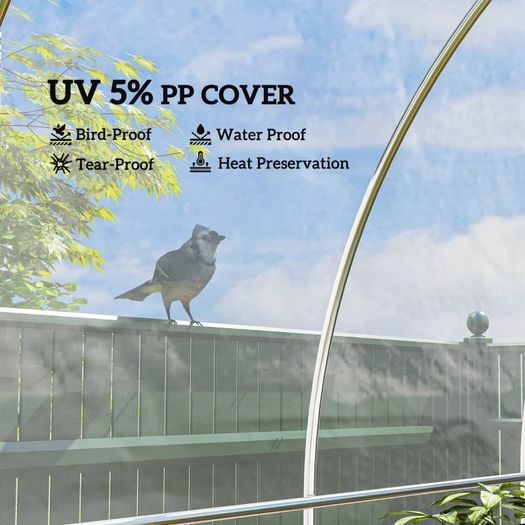 6 X 10m Heavy Duty (150um/6mil) Polypropylene Greenhouse Cover Replacement, UV Resistant Waterproof Plastic Polytunnel Cover, Clear