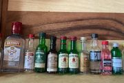 Jameson Whiskey gin vodka empty mini bottles