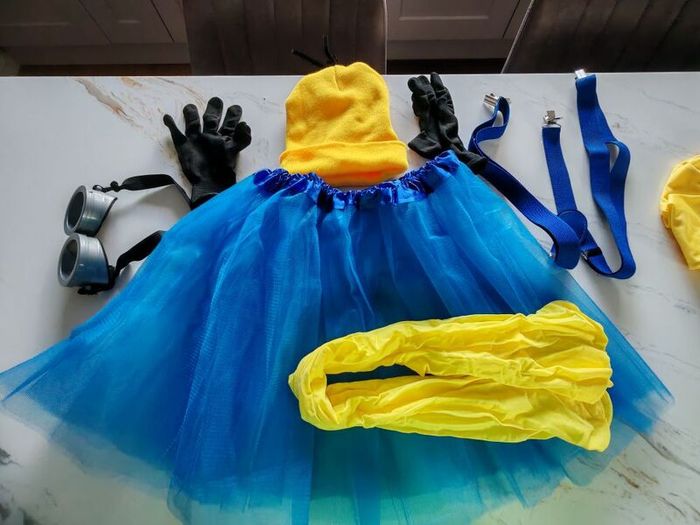 minions costume