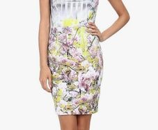 Ted Baker Window Blossom Cherry Dress - Size 2- UK 10