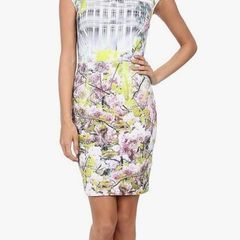 Ted Baker Window Blossom Cherry Dress - Size 2- UK 10
