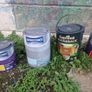 paint Image 5