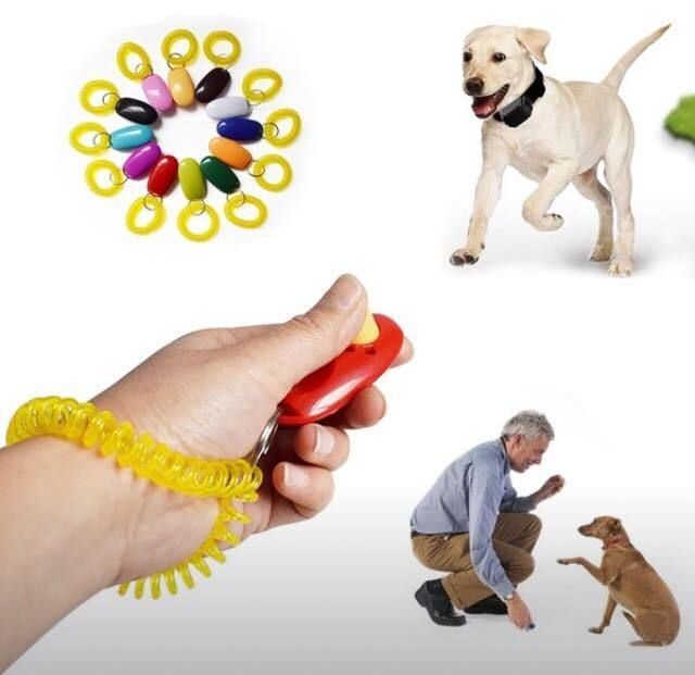 Clicker With Wrist Strap - Clicker Training
