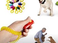 main image for ad Clicker With Wrist Strap - Clicker Training