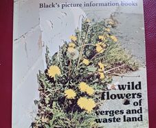 Black's picture information books/ Wild Flowers of verges & waste land/ 1977