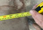 Perfect grain length of okd growth Cuban mahogany