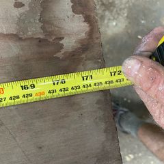 Perfect grain length of okd growth Cuban mahogany