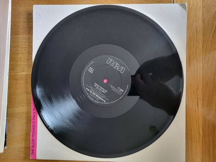 The Blow Monkeys This Is Your Life 12 inch vinyl