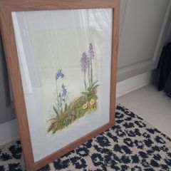 Framed Floral Watercolour