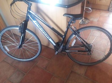 Hybrid bike