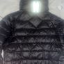 canada goose Image 4