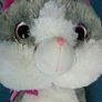 Giant cat teddy Image 2