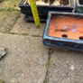 bonsai pots Image 5