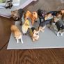 Dog collection plastic Image 7