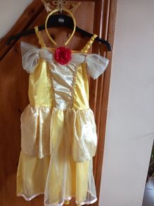 Disney Princess Dress - Belle & Tiara