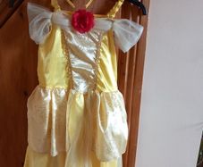 Disney Princess Dress - Belle & Tiara