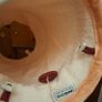 Cat Tunnel Image 3