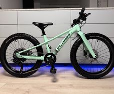 Specialized Rip Rock Kids Bike 20 inch