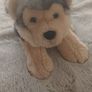 Adorable Husky Puppy Toy. Image 2