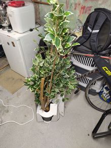 Large fake plant