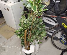 Large fake plant