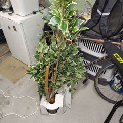 Large fake plant