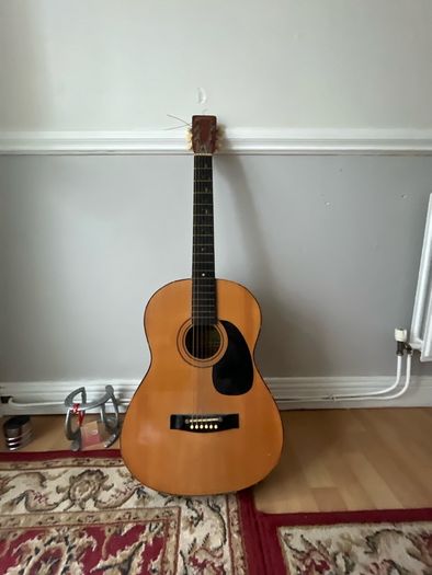 acoustic guitar