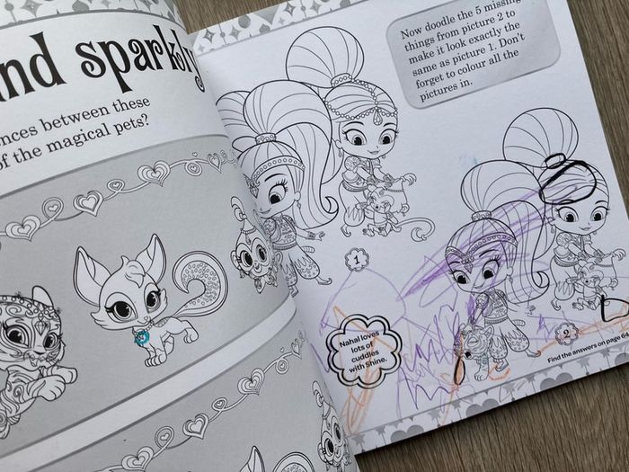 Shimmer & Shine Deluxe Colouring Book