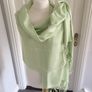 Mint Green Pashmina New Image 2