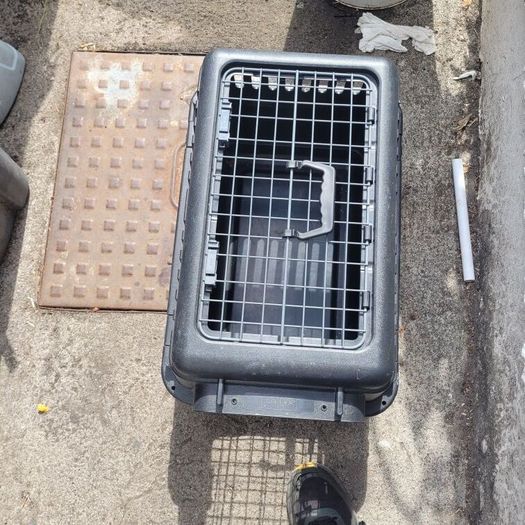 cat / dog transport