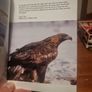 A Field Guide to Bird Photography - Softcover Image 5