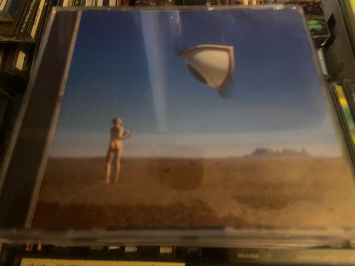 The Cranberries - Bury The Hatchet    CD