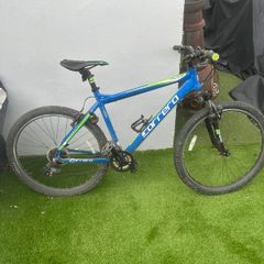 Carrera Valour Mountain Bike (blue/green)