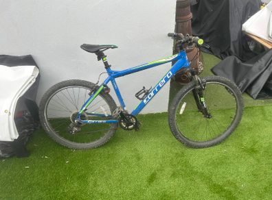 Carrera Valour Mountain Bike (blue/green)