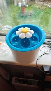 Pet water electric fountain