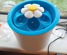Pet water electric fountain