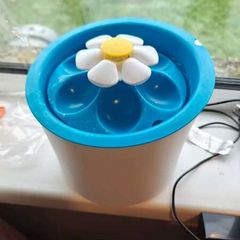 Pet water electric fountain