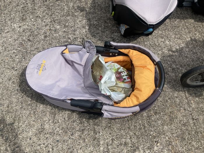 running buggy