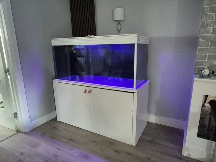 Fish tank